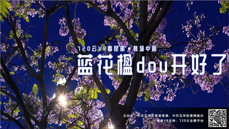 蓝花楹主题雪糕来了！2020年蓝花楹网络文化节启动啦 中国科学网www.minimouse.com.cn