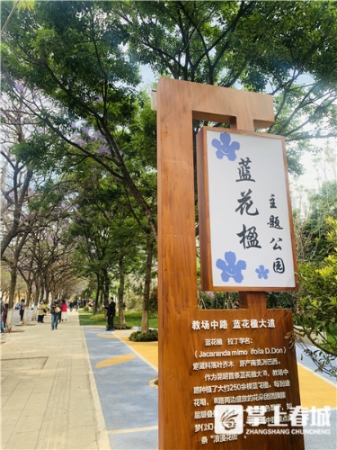 蓝花楹主题雪糕来了！2020年蓝花楹网络文化节启动啦 中国科学网www.minimouse.com.cn