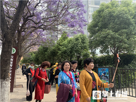 蓝花楹主题雪糕来了！2020年蓝花楹网络文化节启动啦 中国科学网www.minimouse.com.cn