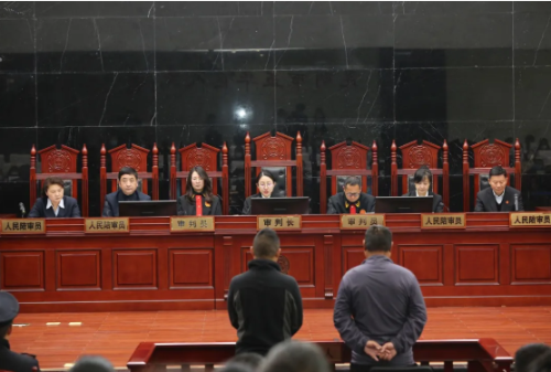 非法占用农用地，判刑！五华法院首次组建七人合议庭审理一起公益诉讼案 中国科学网www.minimouse.com.cn