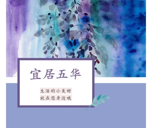 绽放蓝花楹 助推五华高质量发展 中国科学网www.minimouse.com.cn