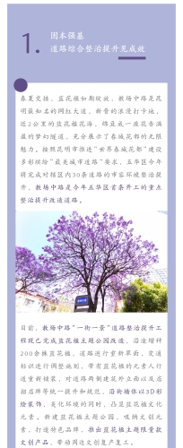 绽放蓝花楹 助推五华高质量发展 中国科学网www.minimouse.com.cn
