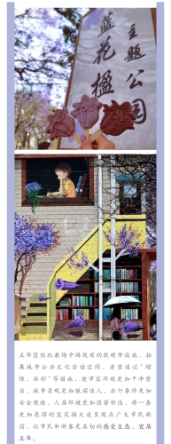 绽放蓝花楹 助推五华高质量发展 中国科学网www.minimouse.com.cn