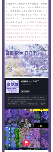 绽放蓝花楹 助推五华高质量发展 中国科学网www.minimouse.com.cn