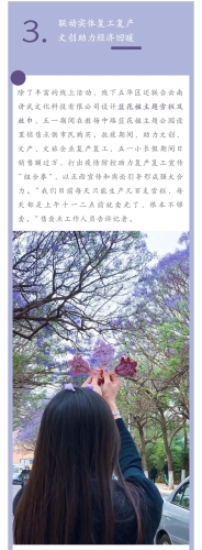 绽放蓝花楹 助推五华高质量发展 中国科学网www.minimouse.com.cn