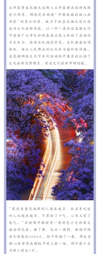 绽放蓝花楹 助推五华高质量发展 中国科学网www.minimouse.com.cn