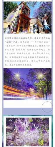 绽放蓝花楹 助推五华高质量发展 中国科学网www.minimouse.com.cn