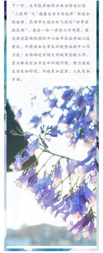 绽放蓝花楹 助推五华高质量发展 中国科学网www.minimouse.com.cn