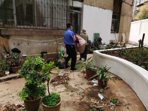 大观街道执法中队持续推进“大清扫、大消毒”爱国卫生运动 中国科学网www.minimouse.com.cn