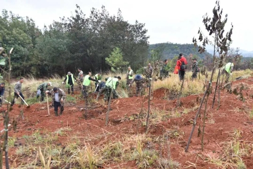 携手五华人 共建初心林 中国科学网www.minimouse.com.cn