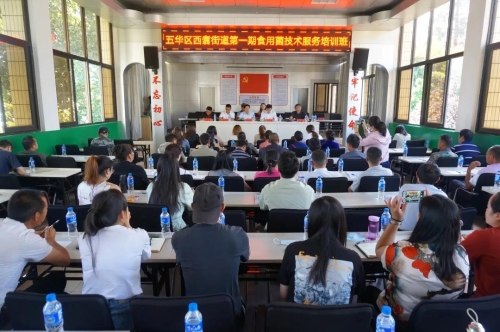 助力脱贫攻坚，五华区开展食用菌技术服务培训活动 中国科学网www.minimouse.com.cn