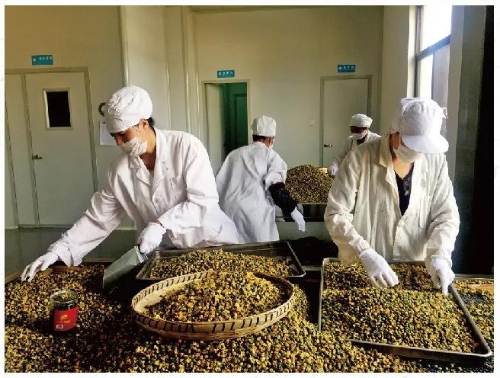 五华区5个先进集体荣获昆明市“工人先锋号”！ 中国科学网www.minimouse.com.cn