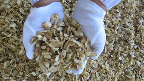 五华区5个先进集体荣获昆明市“工人先锋号”！ 中国科学网www.minimouse.com.cn