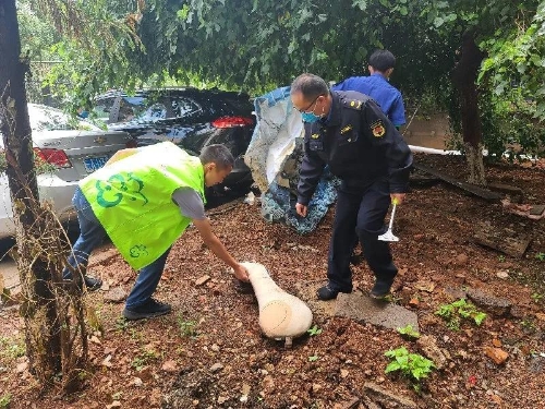 速读 | 五华时讯 2020.6.24 中国科学网www.minimouse.com.cn