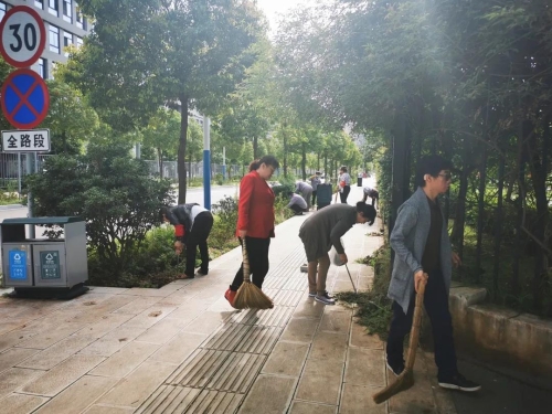 普吉街道“十大行动”力保“创文”决战冲刺 中国科学网www.minimouse.com.cn