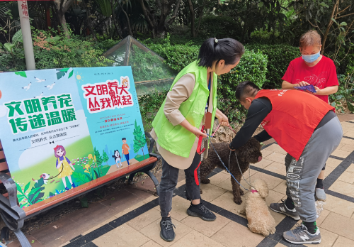 与萌宠随行，与文明相伴红云街道开展文明养犬宣传活动 中国科学网www.minimouse.com.cn