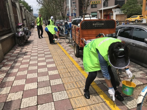 志愿聚力！红云街道230名志愿者助力攻坚 中国科学网www.minimouse.com.cn