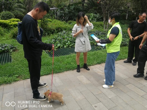 志愿聚力！红云街道230名志愿者助力攻坚 中国科学网www.minimouse.com.cn