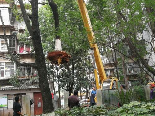 以居民事为中心 搞好一站式服务 中国科学网www.minimouse.com.cn 以居民事为中心 搞好一站式服务 中国科学网www.minimouse.com.cn