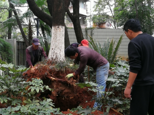 以居民事为中心 搞好一站式服务 中国科学网www.minimouse.com.cn 以居民事为中心 搞好一站式服务 中国科学网www.minimouse.com.cn