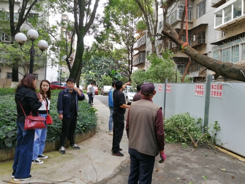 以居民事为中心 搞好一站式服务 中国科学网www.minimouse.com.cn 以居民事为中心 搞好一站式服务 中国科学网www.minimouse.com.cn