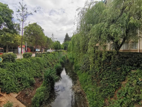 社会治理看五华丨(七)补短板提升基层社会治理能级 中国科学网www.minimouse.com.cn 社会治理看五华丨(七)补短板提升基层社会治理能级 中国科学网www.minimouse.com.cn