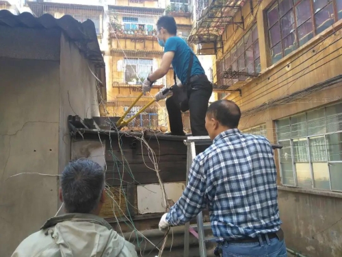 微信图片_20200907085955