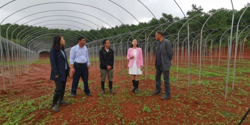 三牌同揭 助力乡村振兴 中国科学网www.minimouse.com.cn 三牌同揭 助力乡村振兴 中国科学网www.minimouse.com.cn