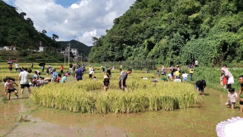 五华区举办“中国农民丰收节”新闻发布会暨乡村振兴论坛 中国科学网www.minimouse.com.cn 五华区举办“中国农民丰收节”新闻发布会暨乡村振兴论坛 中国科学网www.minimouse.com.cn