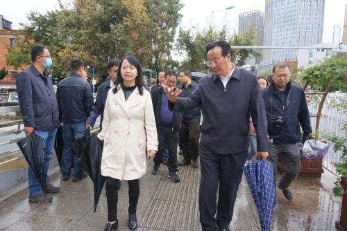  拉玛·兴高带队巡查大观河综合整治情况 中国科学网www.minimouse.com.cn