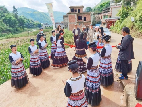 庆丰收 五华区开展乡村农耕文化体验活动 中国科学网www.minimouse.com.cn