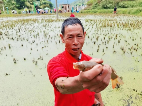 庆丰收 五华区开展乡村农耕文化体验活动 中国科学网www.minimouse.com.cn