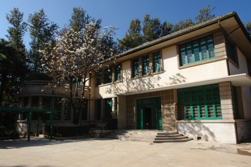 DSC08885