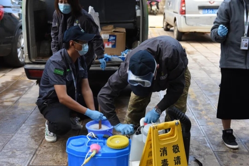 海鸥来啦！请收下这份翠湖观鸥最新攻略！ 中国科学网www.minimouse.com.cn