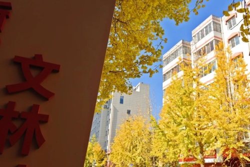 冬到文林街 烂漫不止于色彩 中国科学网www.minimouse.com.cn