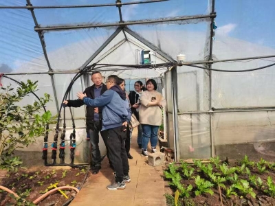 五华区农业农村局对2020年区级 农业产业化项目进行验收 中国科学网www.minimouse.com.cn