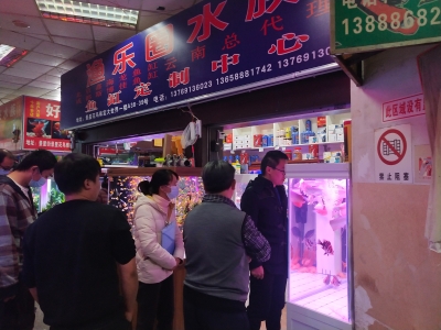 五华区积极开展水生野生动物保护及“十年禁渔”措施落实情况检查 中国科学网www.minimouse.com.cn