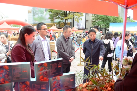 五华区统筹推进乡村振兴战略多措并举激发乡村发展动力 中国科学网www.minimouse.com.cn