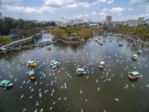 微信图片_20210119085632