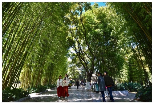 “翠湖博物馆群”系列报道 2｜人文夜读：翠湖 昆明之眼聚文脉 中国科学网www.minimouse.com.cn