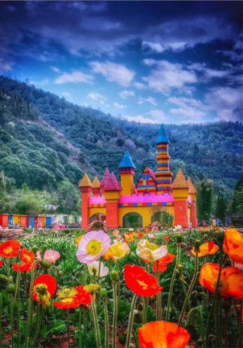 留在五华过大年∣5条五华旅游路线已经为您梳理好！ 中国科学网www.minimouse.com.cn