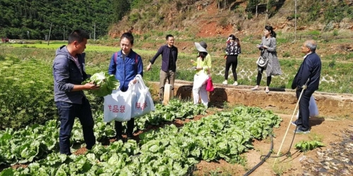 五华区2020年产地农产品质量安全抽检合格率达99.5% 中国科学网www.minimouse.com.cn