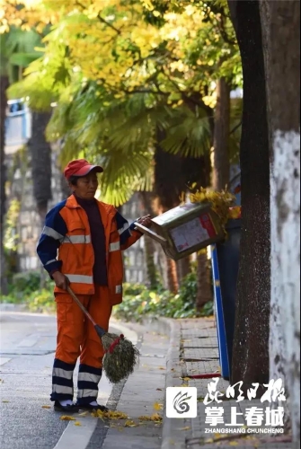 爱卫同行 | 五华区推动爱国卫生“7个专项行动”落地生根 中国科学网www.minimouse.com.cn