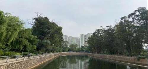 红云街道：提升基层网格治理水平 共建共享绿色生态家园 中国科学网www.minimouse.com.cn