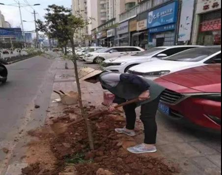 红云街道：提升基层网格治理水平 共建共享绿色生态家园 中国科学网www.minimouse.com.cn