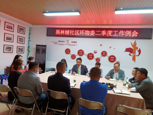 黑林铺社区环境和物业管理委员会组织召开二季度工作例会 中国科学网www.minimouse.com.cn