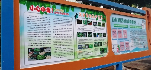 五华区科协更换科普宣传栏丰富宣传阵地 中国科学网www.minimouse.com.cn