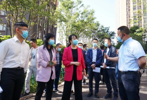 全力以赴！做好国家卫生城市第三次复审工作 中国科学网www.minimouse.com.cn