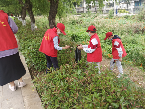 黑林铺街道新域社区开展青少年教育实践活动 中国科学网www.minimouse.com.cn