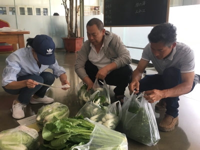 五华区配合国家、省级开展二季度农产品质量安全例行监测和“10大名品”专项监测 中国科学网www.minimouse.com.cn